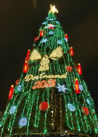IMG_1602 Weihnachtsbaum 2021